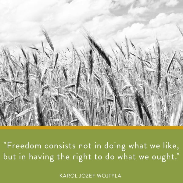 Freedom consists not in doing what we like, but in having the right to do what we ought.