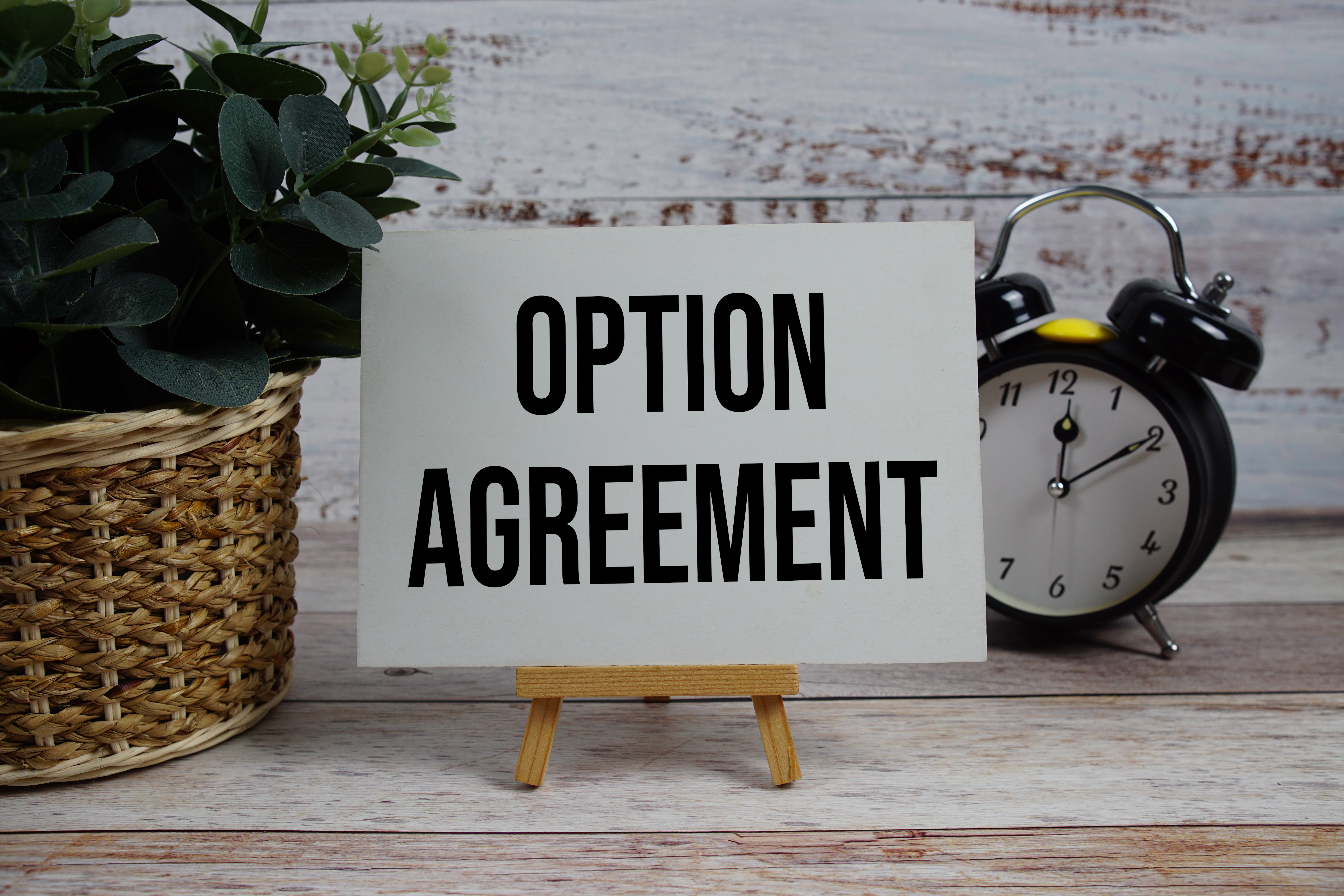 What Should I Know About Office Lease Renewal Options Before My Lease Expires?